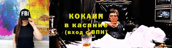 сатива Краснослободск