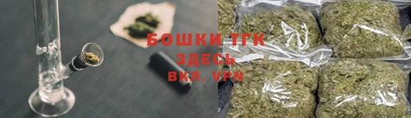 сатива Краснослободск