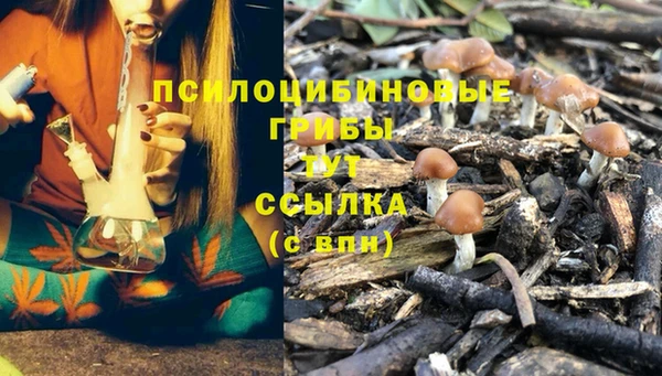 сатива Краснослободск