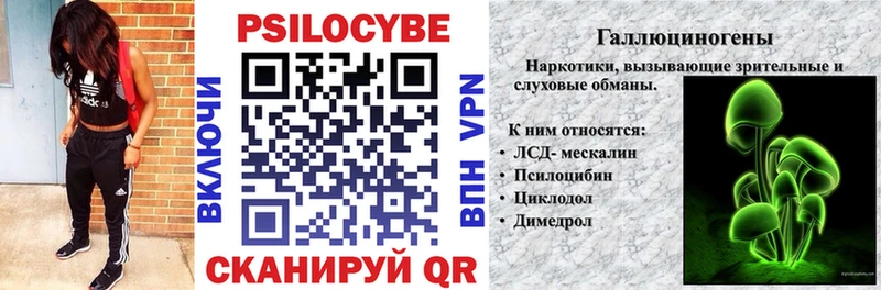 Псилоцибиновые грибы мицелий  Обнинск 